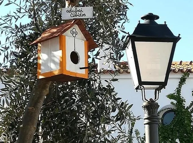 Adubai Dom wakacyjny