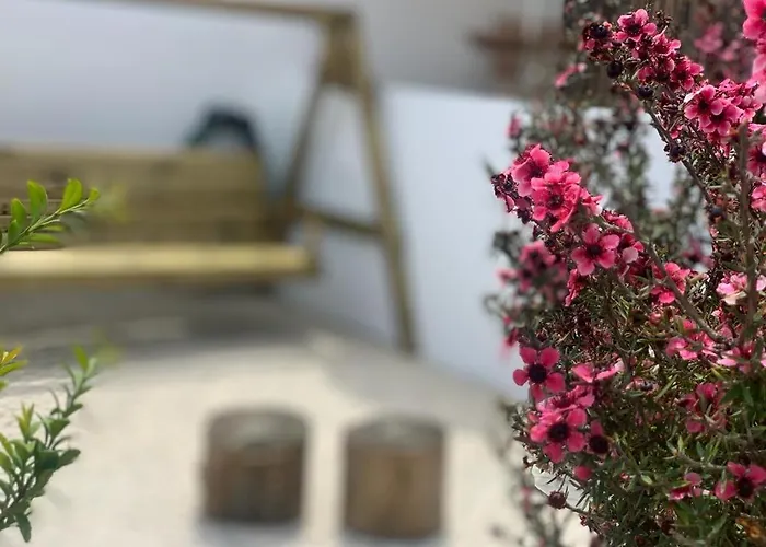 בית נופש Adubai אובידוס